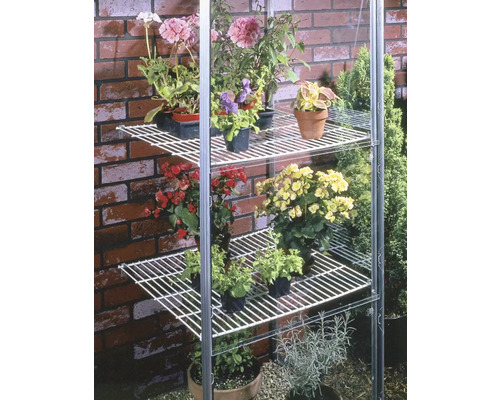 Kweekkasrek met verschillende planten op meerdere niveaus.