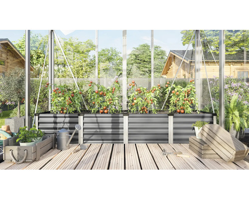 Kasinterieur met verhoogde bedden en tomatenplanten