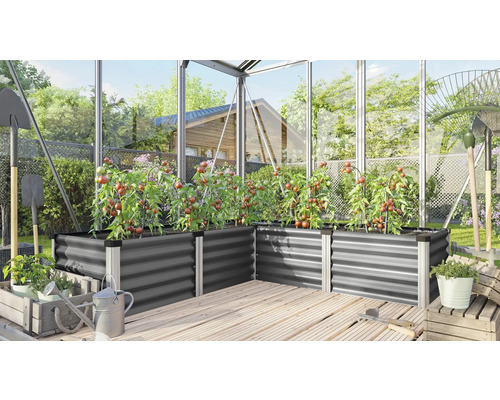 Kas met metalen verhoogde bedden, beplant met tomatenplanten, tuingereedschap en houten vloer