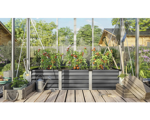 Kas met verhoogde tuinbak, tomatenplanten en tuingereedschap