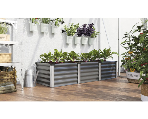Scene met metalen verhoogde tuinbak beplant met groenten, met wandrek en planten