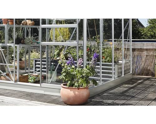 Kas met planten op planken en een bloempot op de voorgrond