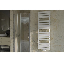 Moderne badkamer met douchecabine en witte radiator