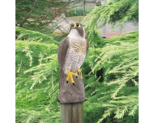 Plastic valk als vogelverschrikker op een paal