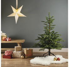 Decoratieve woonsfeer met kerstboom, sterlamp en cadeaus