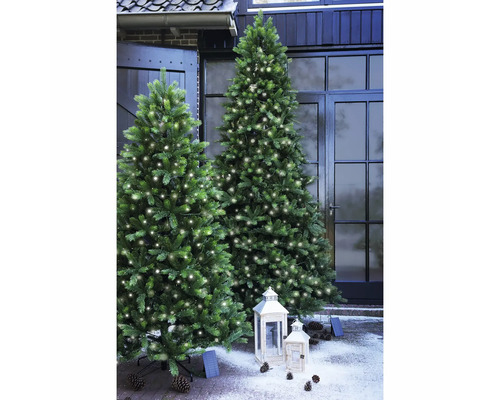 Twee verlichte kunstkerstbomen buiten met lantaarns en dennenappels