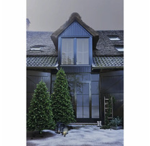 Gevel met rieten dak, twee verlichte kerstbomen en winterse decoratie