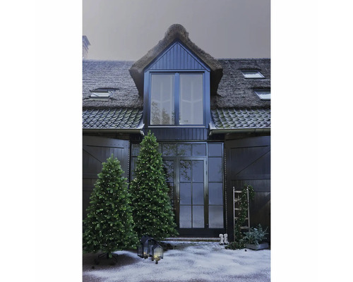 Gevel met rieten dak, twee verlichte kerstbomen en winterse decoratie