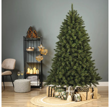 Decoratieve kamer met een versierde kerstboom, geschenken en een rek met kerstversiering.