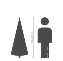 Maatvergelijking: boom en mens, beide 180 cm