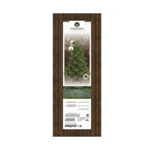 Everlands Alba spar, compact, verlicht