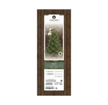 Everlands Alba spar, verlichte kunstkerstboom, hoogte 2.1 meter