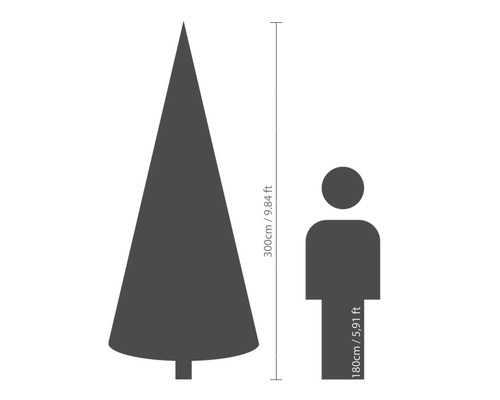 Maatvergelijking: kerstboomhoogte 300 cm, persoonlengte 180 cm