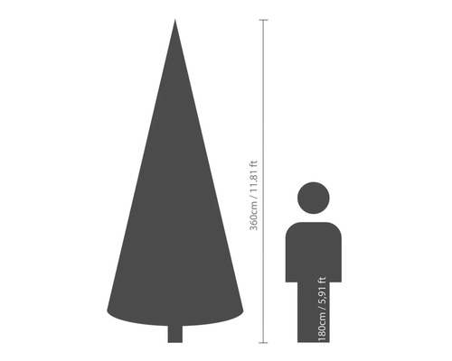 Vergelijking van de grootte: Kerstboom met een hoogte van 360 centimeter naast een persoon met een hoogte van 180 centimeter