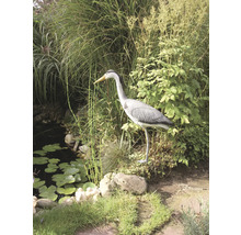 Decoratieve reiger bij de vijver in de tuin