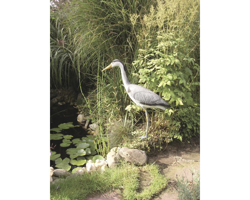 Decoratieve reiger bij de vijver in de tuin