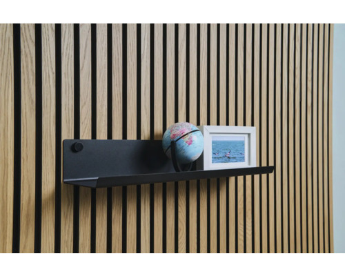 Wandpaneel met plank, globe en foto