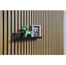 Wandpaneel met plank, ballonhondfiguur en fotolijst