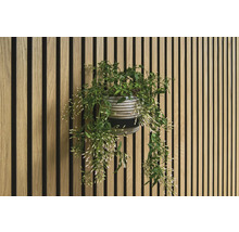 Decoratieve wand met houten panelen en potplant