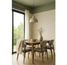 Eetkamer met houten tafel, stoelen, hanglamp en decoraties in een lichte ruimte