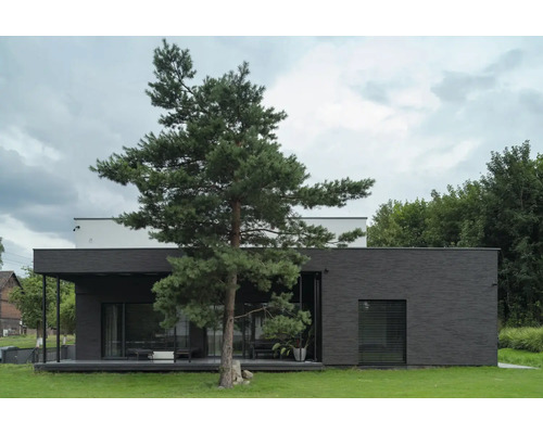 Modern huis met donkere gevel en boom in de voortuin.