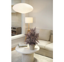 Licht interieur met plant, tafellamp en hanglamp