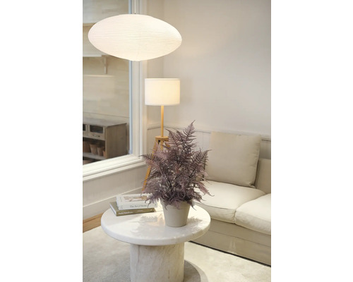Licht interieur met plant, tafellamp en hanglamp