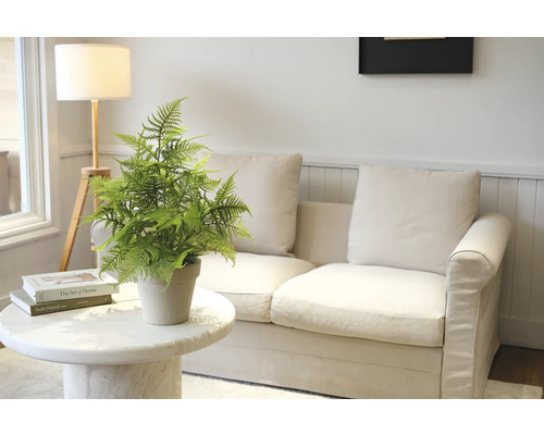 Decoratieve kamerplant op een marmeren tafel voor een bank en een vloerlamp