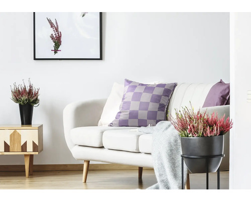 Lichte woonkamer met bank, kussens, bijzettafel en kamerplanten