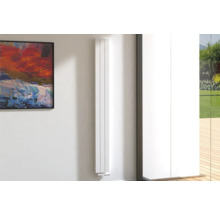 Kamerzicht met platte radiator aan de muur naast een schilderij