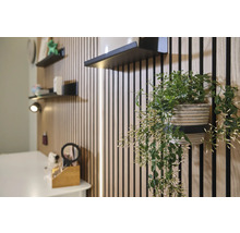 Kameroverzicht met houten panelen, zwarte planken en hangende groene plant in pot