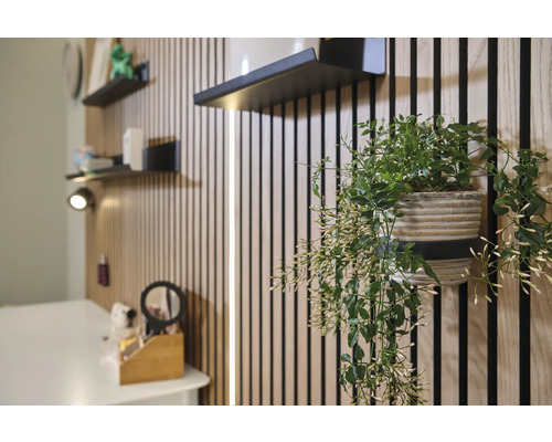 Kameroverzicht met houten panelen, zwarte planken en hangende groene plant in pot