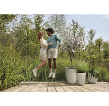 Scene met een paar dat op een houten terras springt voor drie plantenbakken. De plantenbakken bevatten planten.