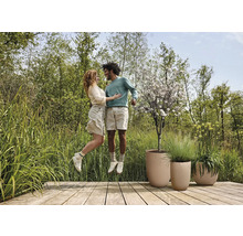 Een paar springt op een houten terras met plantenbakken in een tuin.