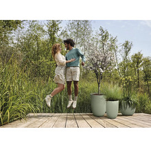 Een paar springt op een houten terras naast drie beplante plantenbakken.