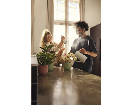 Paar giet en besproeit kamerplanten in potten