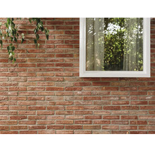 Bakstenen muur met raam en plant