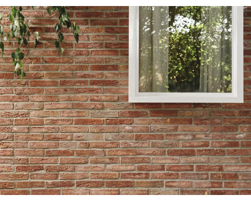 Bakstenen muur met raam en plant