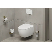 Wandhangtoilet met toiletpapierhouder, reserverolhouder en toiletborstel in moderne badkamer