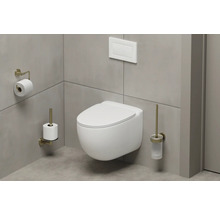 Wandhangend toilet met toiletpapierhouder, toiletborstel en bedieningspaneel in moderne badkamer