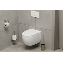 Moderne badkamer met hangtoilet, bedieningspaneel, toiletpapierhouder en toiletborstel.
