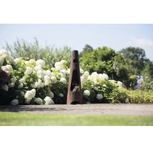 Tuinscene met een slanke, kegelvormige metalen open haard, die met hout wordt gestookt en is omgeven door hortensia''s.