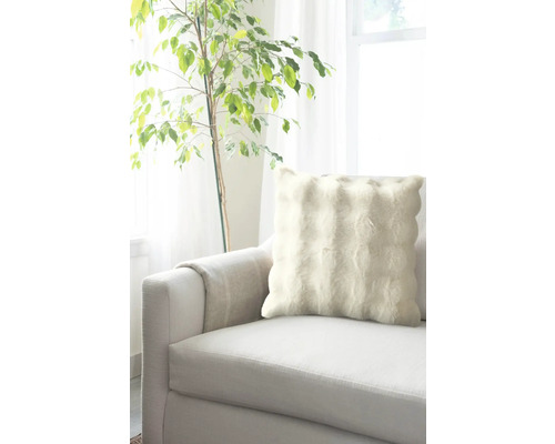Decoratief kussen op een bank naast een kamerplant.