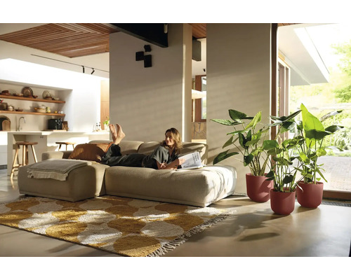 Lichte woonkamer met vrouw op de bank, een vloerkleed met patroon en kamerplanten in bloempotten.