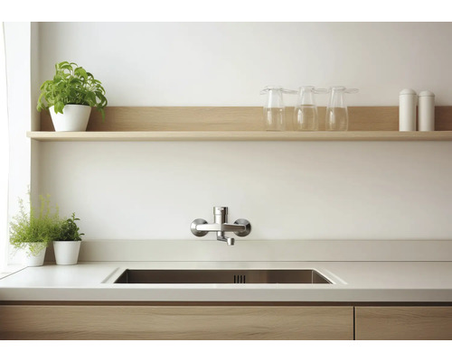 Keukenspoelbak met kraan, werkblad, plank, glazen en planten