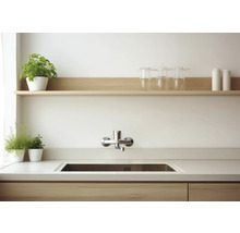 Keuken spoelbak met kraan, werkblad en plank met decoratie