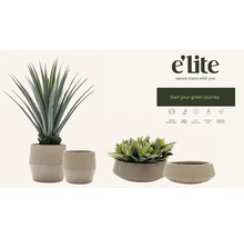 Decoratieve kunstplanten in bijpassende bloempotten.