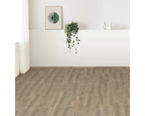 Lichte kamer met houten vloertegels en decoratie