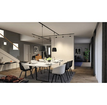 Eetkamer met eettafel, stoelen, tapijt en railspots aan het plafond.