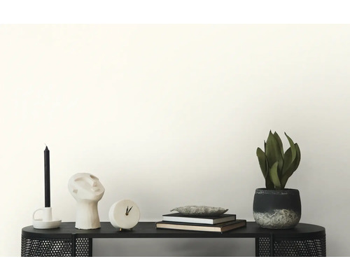 Decoratieve objecten op een zwarte plank: kaars, sculptuur, klok, boeken en kamerplant